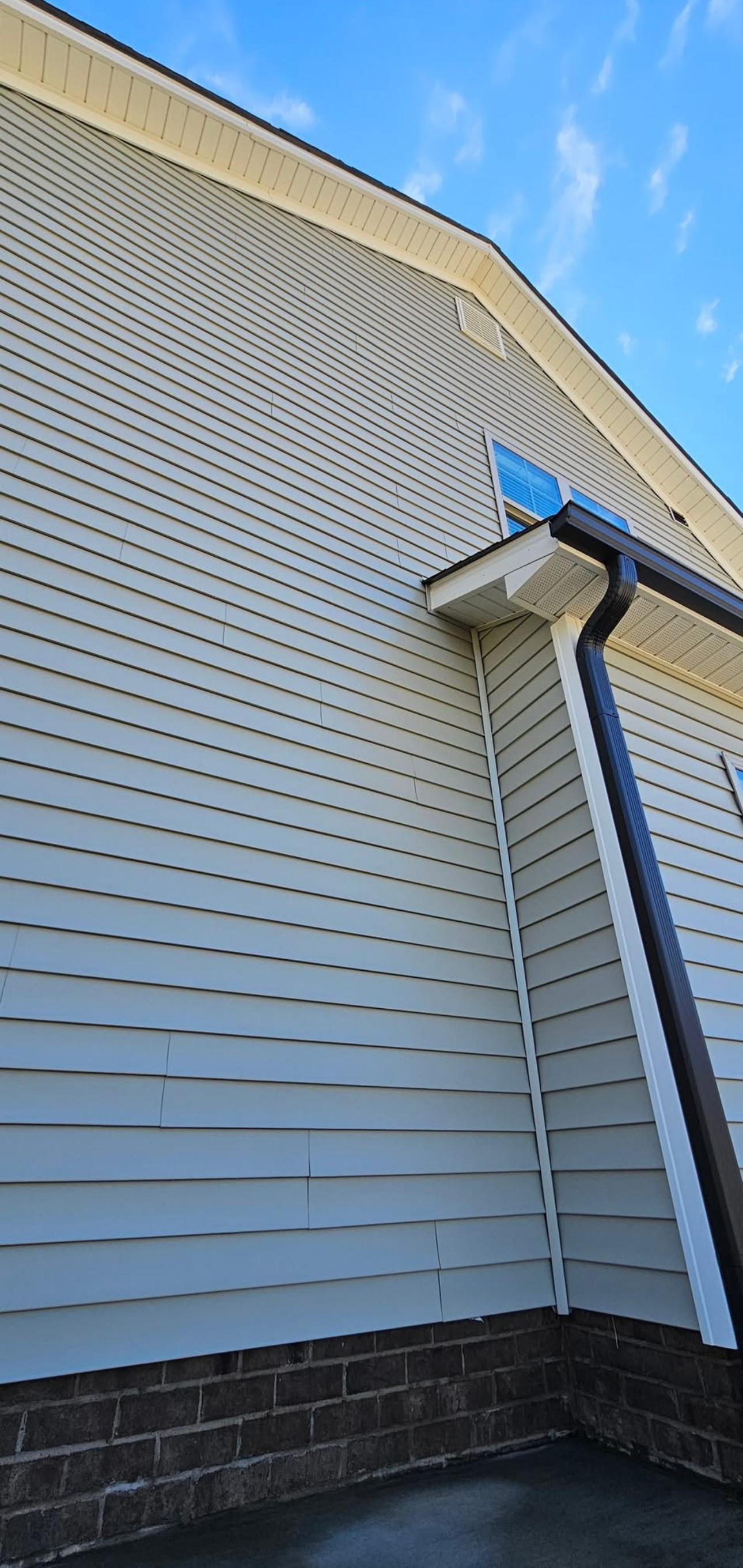 Vinyl siding before soft washing — weathered and stained