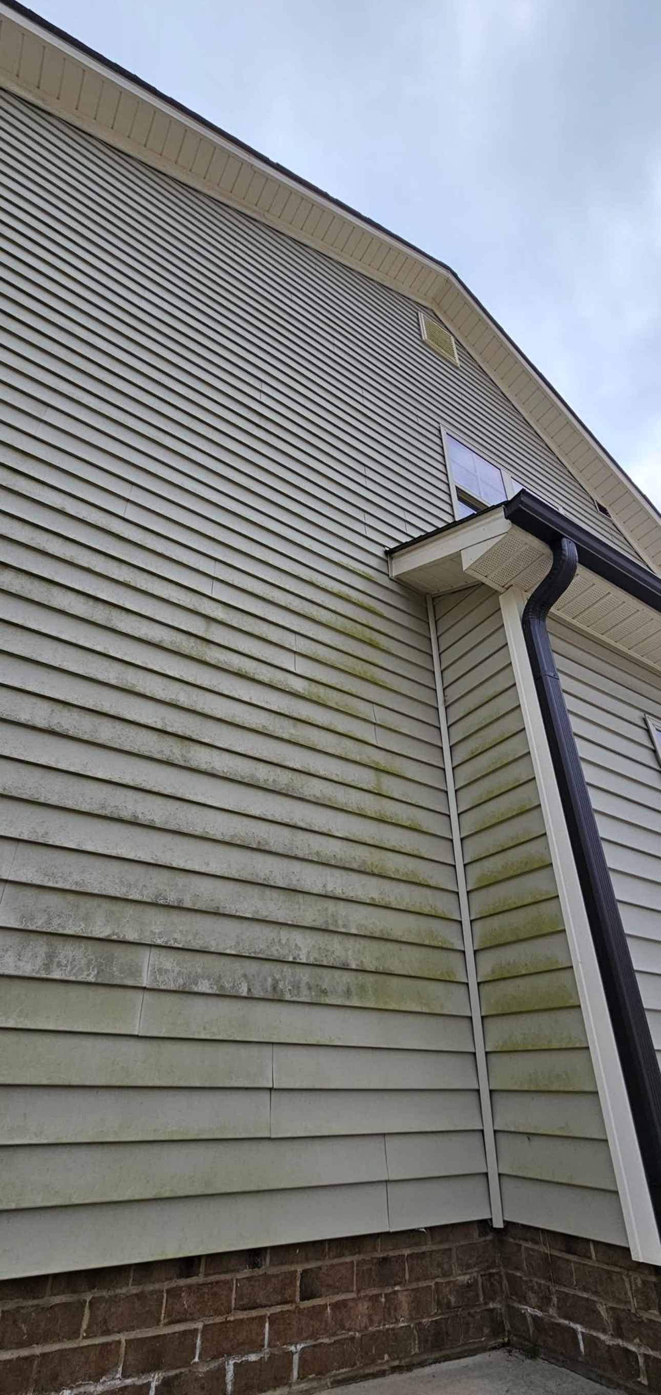 Vinyl siding after soft washing — bright and clean